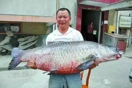 国产三级 第3页