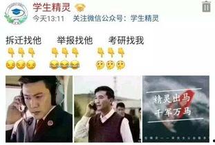 国产每日更新福利,精彩内容不容错过!
